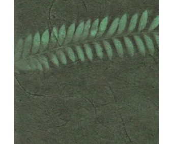 Nepaali paber MUSTRIGA 50x75cm - sõnajalg, roheline